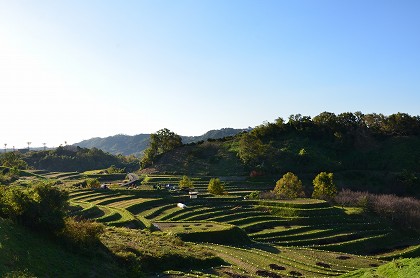 千早赤阪村　棚田夢灯り_c0229483_20424556.jpg