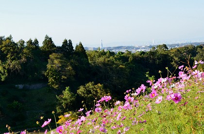 千早赤阪村　棚田夢灯り_c0229483_20433847.jpg