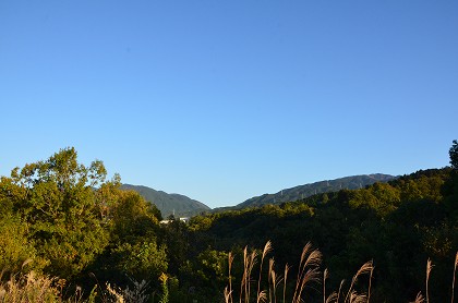 c0229483_20451815.jpg