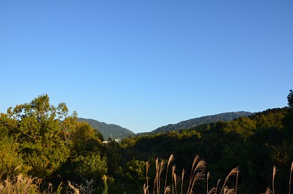 千早赤阪村　棚田夢灯り_c0229483_20451815.jpg