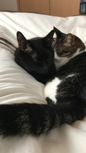 c0340786_10375105.jpeg