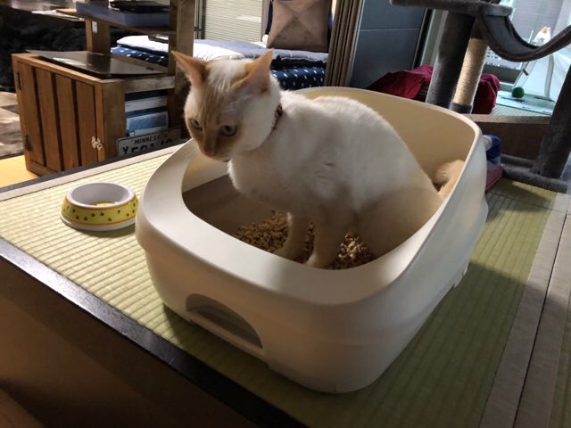 b0035391_22292730.jpeg
