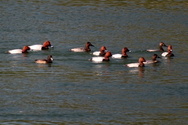 b0236595_15454214.jpg