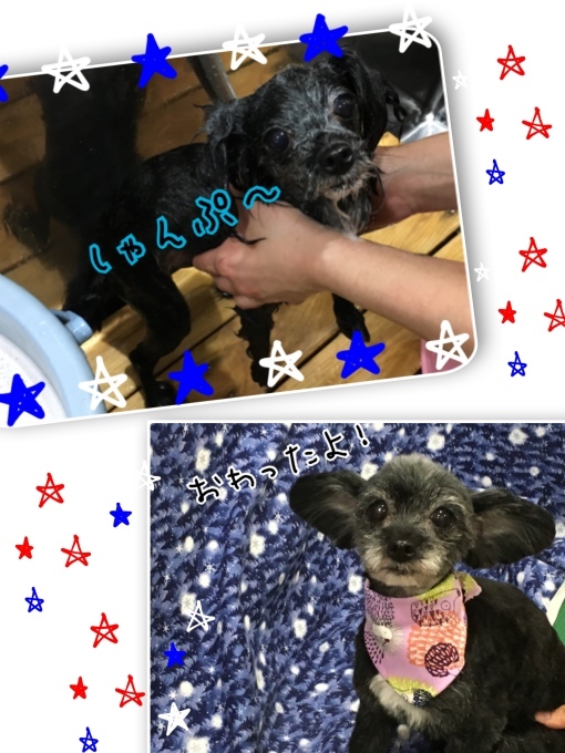 d0269898_18441321.jpeg