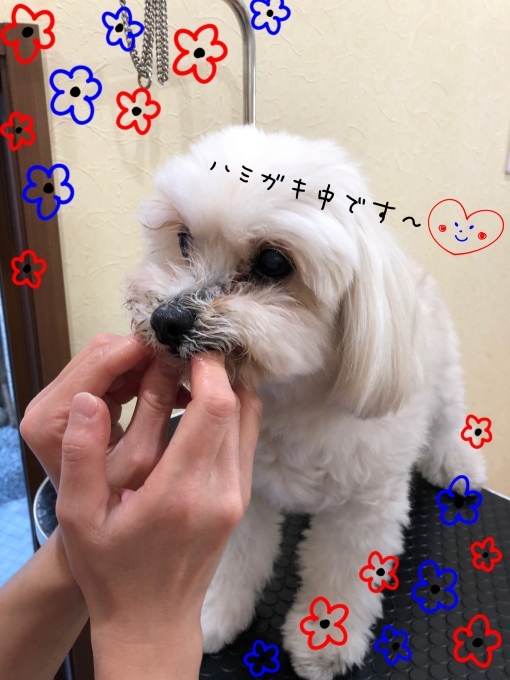 d0269898_18453059.jpeg