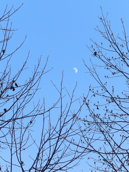 冬の空 写真と空と自転車と 冬の空 写真と空と自転車と