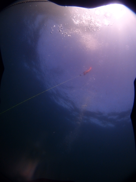 e0115199_15365621.jpg