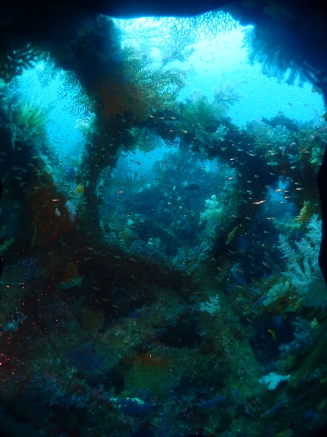 e0115199_15552666.jpg