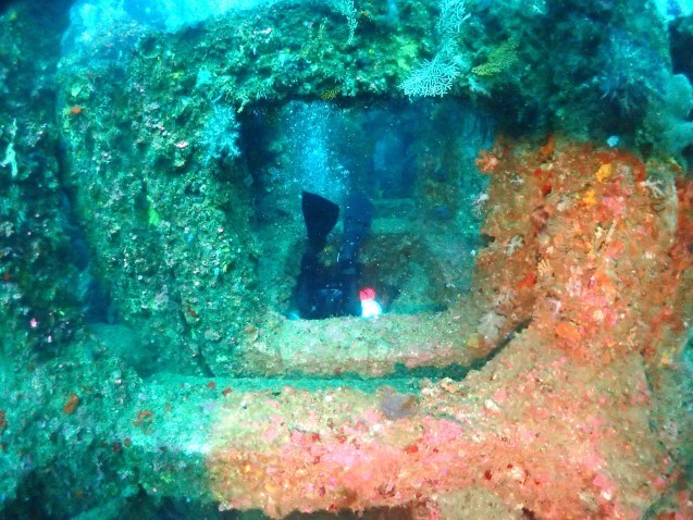 e0115199_15555026.jpg