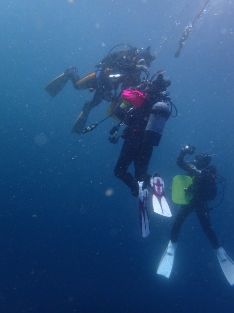 e0115199_16114525.jpg
