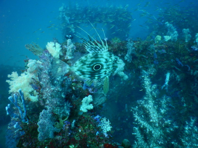 e0115199_16245578.jpg