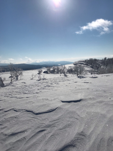 キラキラの雪景色☆_b0073602_11480449.jpg