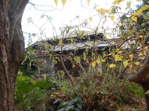 f0083803_19412170.jpg