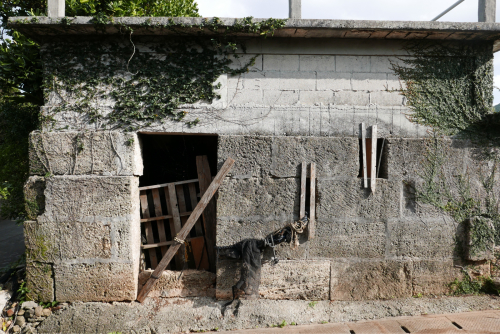 海界の村を歩く 東シナ海 久米島_d0147406_17082582.jpg