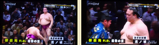f0231709_15135736.gif