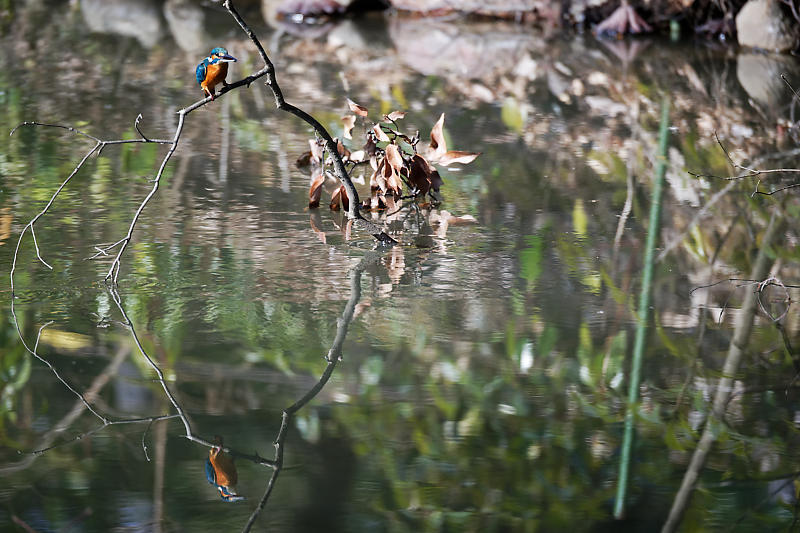 f0032011_20243551.jpg