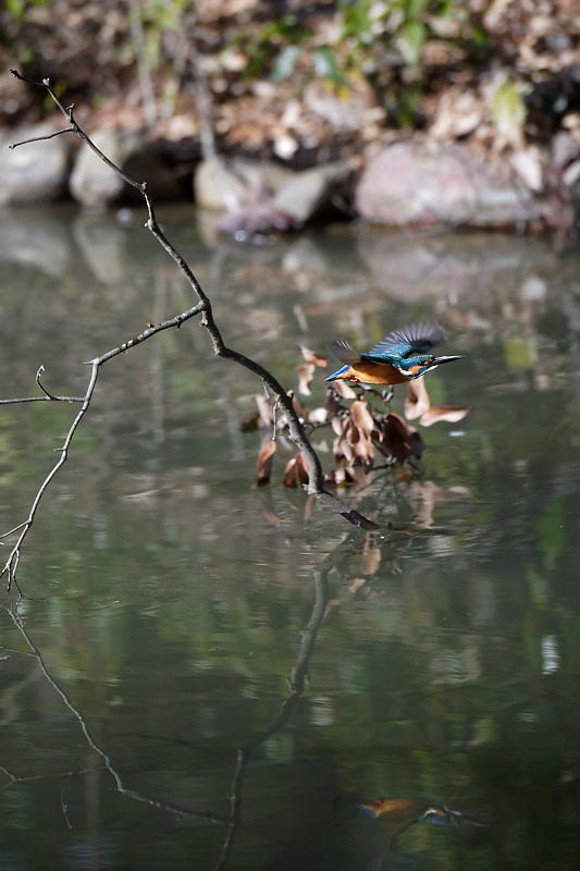 f0032011_20243570.jpg