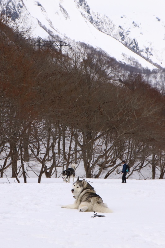 b0207615_21215689.jpg
