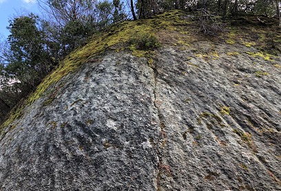 b0181818_11111972.png