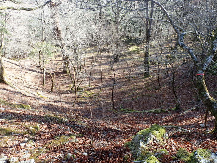 f0193521_913419.jpg