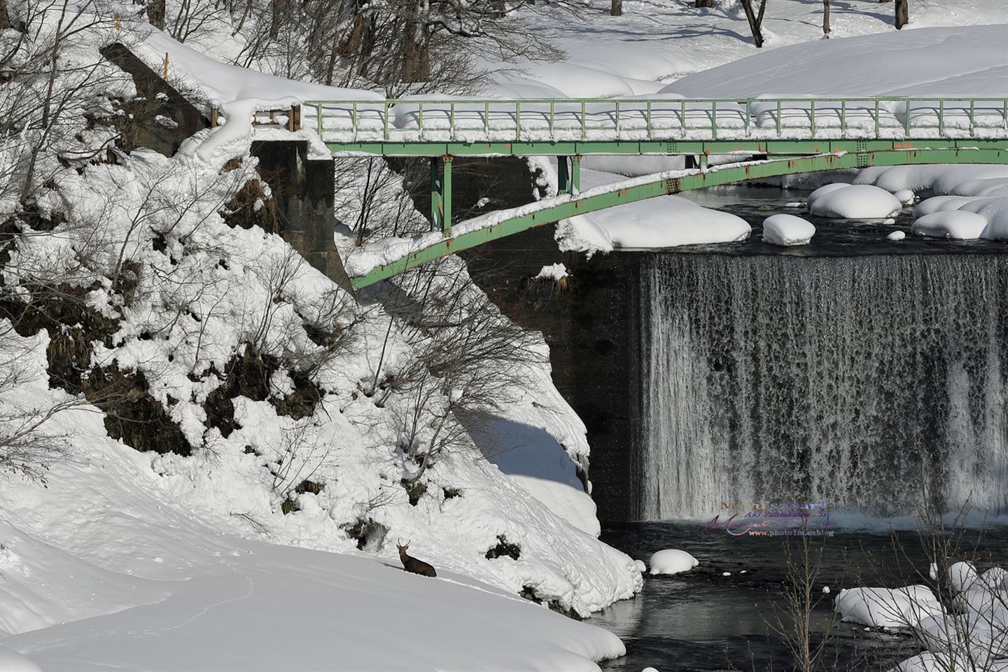d0342426_16431351.jpg