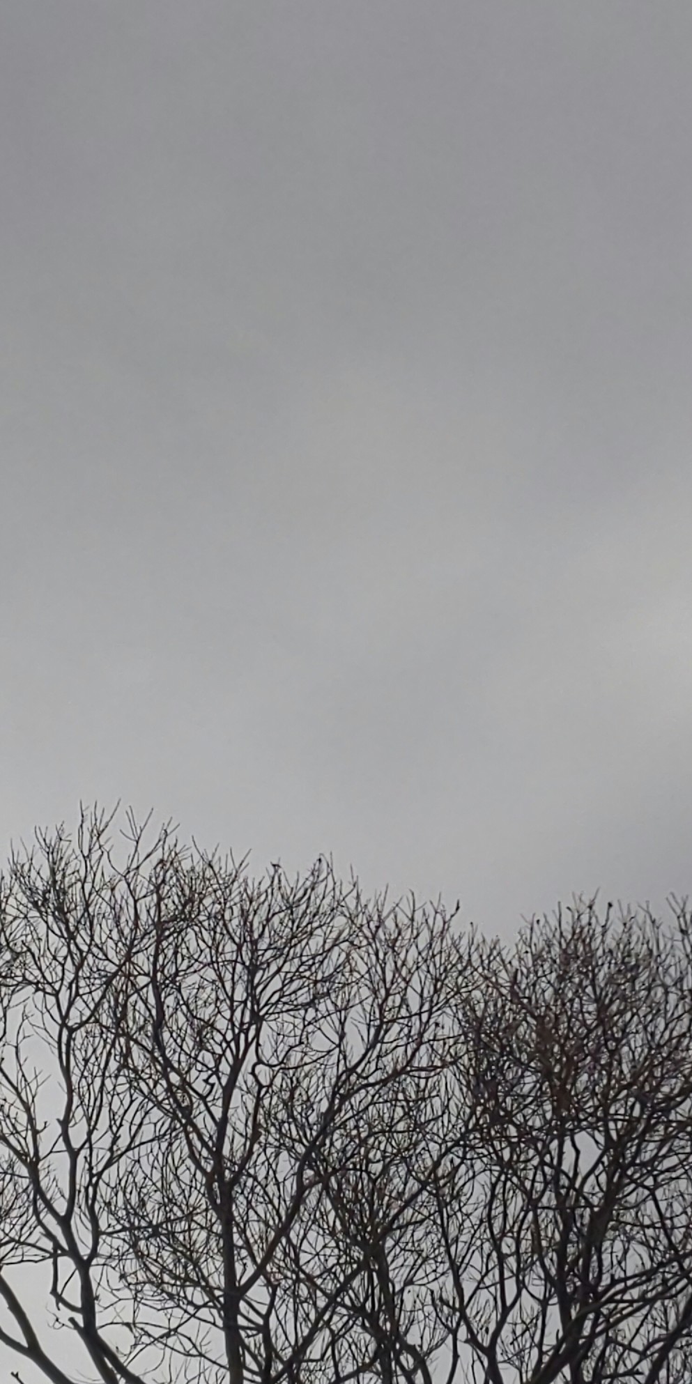 e0376933_22514099.jpg