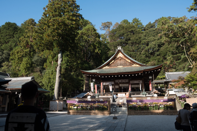 キラク写真講座：お泊まり撮影会⑤ 近江八幡さんぽ_e0369736_16294304.jpg