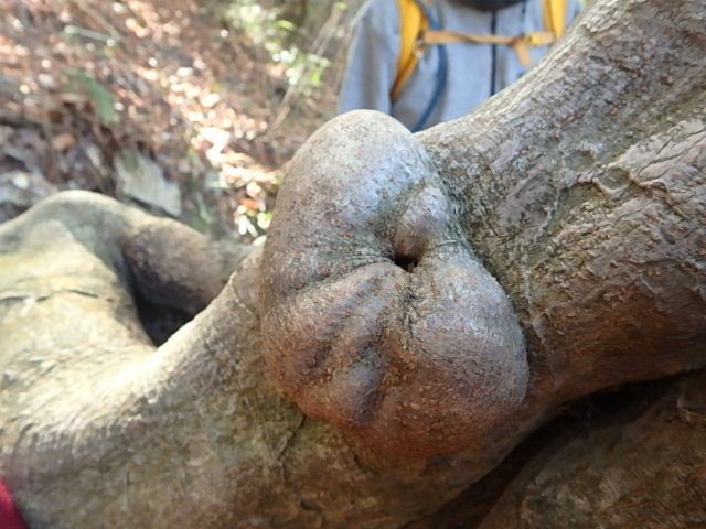f0334143_16265355.jpg