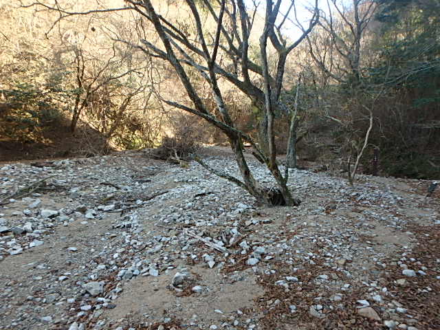 f0334143_16274286.jpg