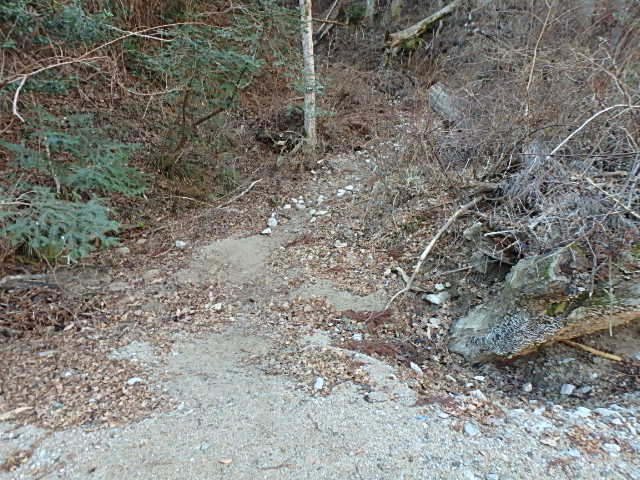 f0334143_16281796.jpg