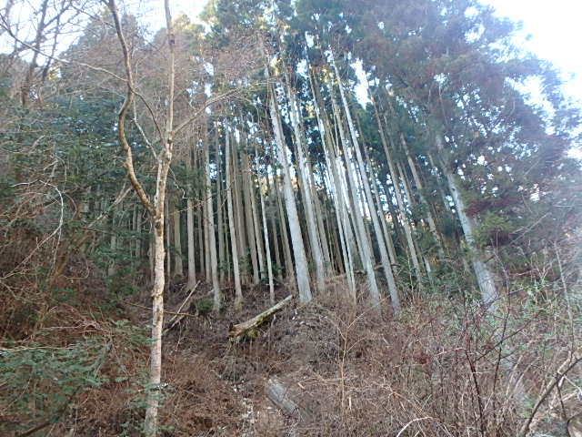 f0334143_16283484.jpg