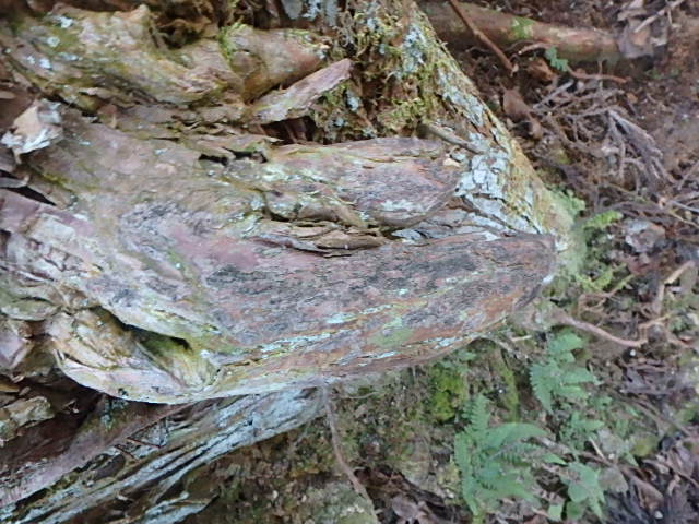 f0334143_16284963.jpg