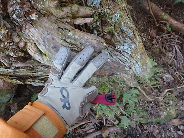 f0334143_16305870.jpg