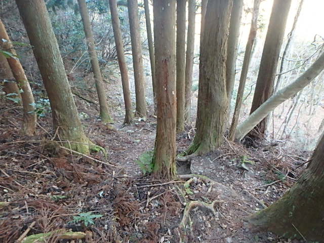 f0334143_1631114.jpg