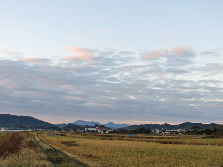 カイツブリ（鳰）_f0214649_05462147.jpg