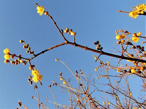 b0220251_05555176.jpg