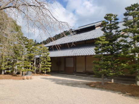 d0154954_10235649.jpg