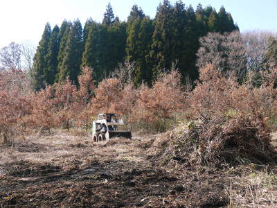 「御願立て」と「どんどや」 熊本県菊池市伊牟田の年行事(2019)_a0254656_18332064.jpg