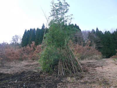 「御願立て」と「どんどや」 熊本県菊池市伊牟田の年行事(2019)_a0254656_18361869.jpg