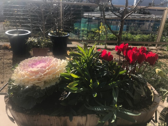 授乳中の悩みにお答えします ラ レーチェ リーグのリーフレット やわらかな風の吹く場所に 母乳育児を応援