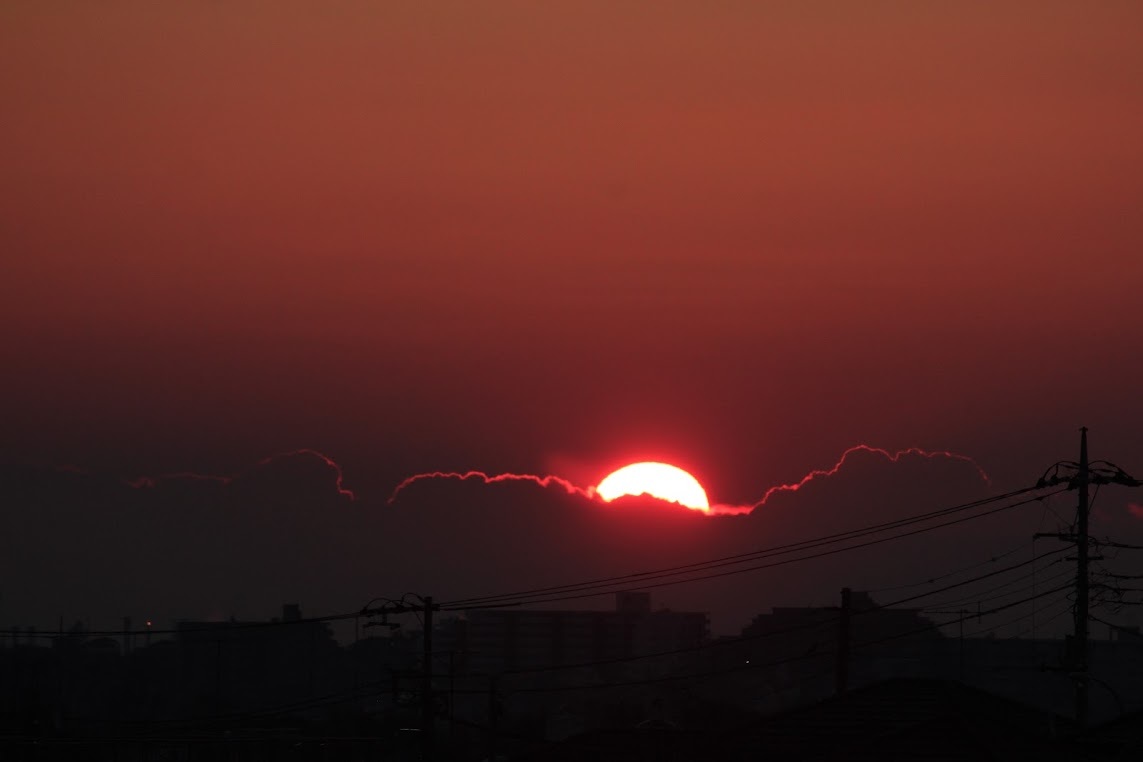 a0248459_14510350.jpg