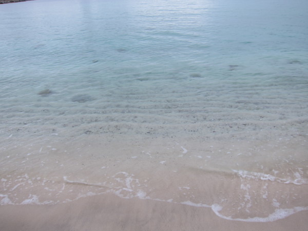 f0164662_13535469.jpg