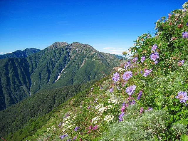 c0219866_18315384.jpg