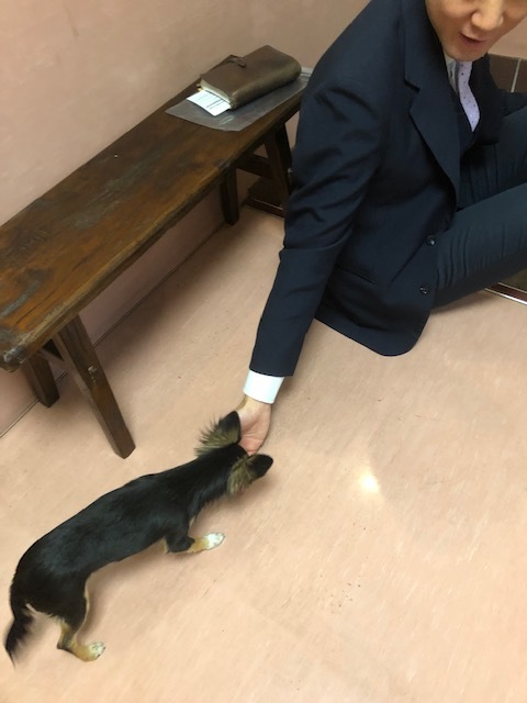 ポーちゃんのお泊り(2019・1・15)_e0367571_21105582.jpg
