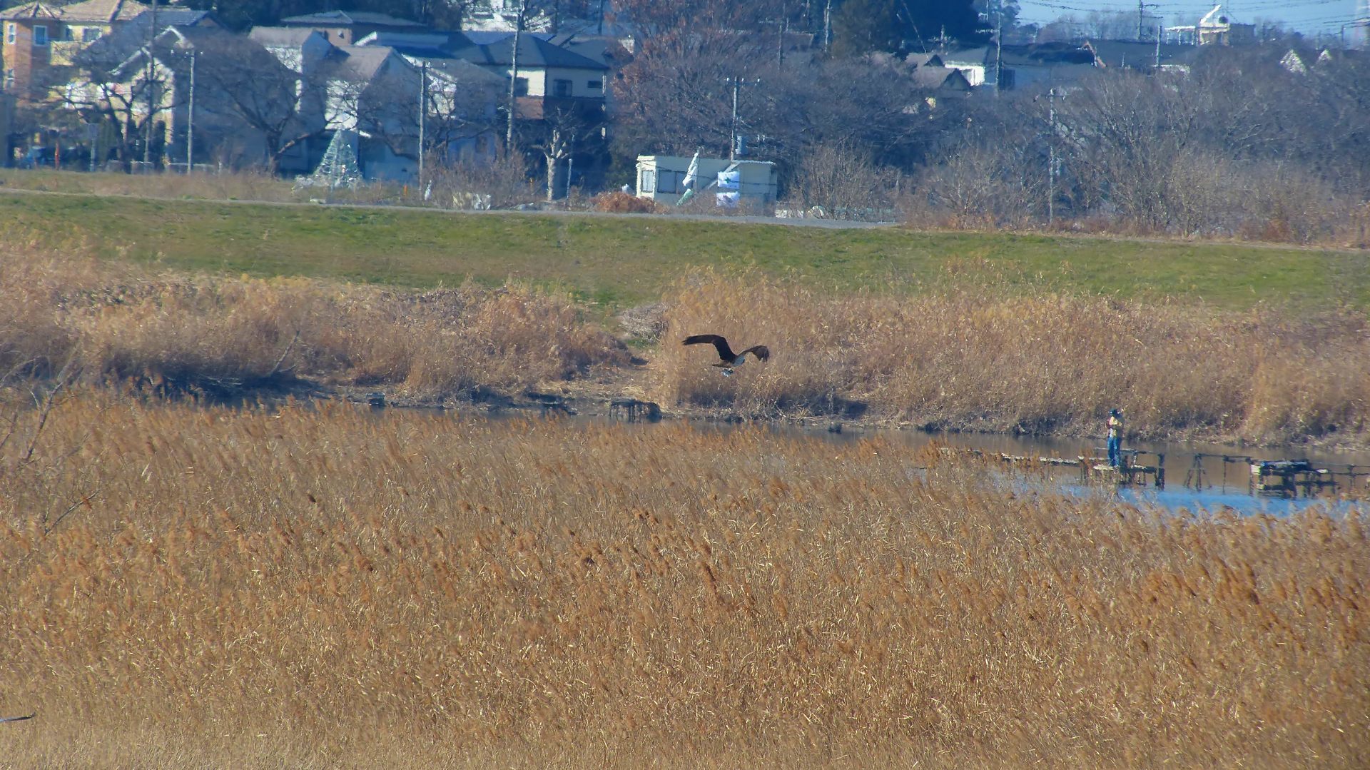 a0185081_13262364.jpg