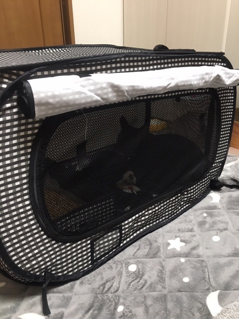 b0377882_09532430.jpeg