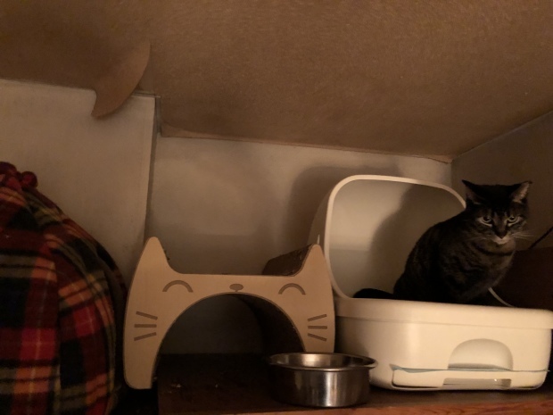 b0377882_09541585.jpeg