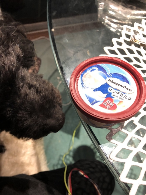 2019年1月15日    のど飴食べてた_b0098584_20203294.jpeg