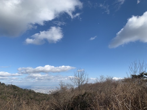 a0251786_22155749.jpg