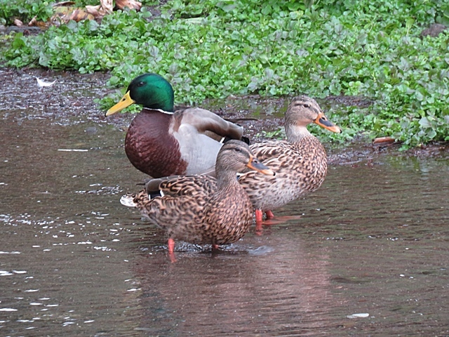 f0357487_22105814.jpg